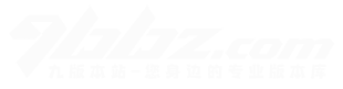 九版本站